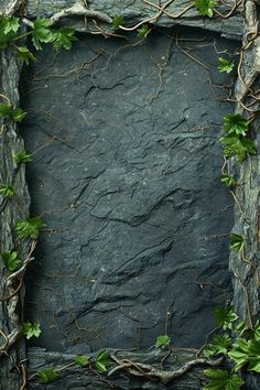 an old frame with ivy growing around it on the side of a stone wall covered in vines