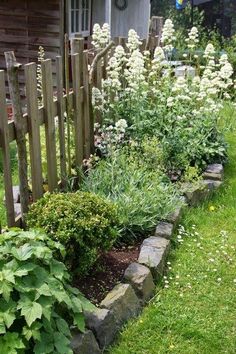 the garden is full of flowers and plants next to a wooden fence with a clock on it