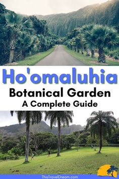 Ho'omaluhia Botanical Garden and entrance Garden Displays, Hawaiian Travel, Botanical Gardens Wedding, Unusual Plants, Big Island Hawaii, Oahu Hawaii