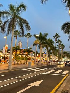 palm trees line the street in front of shops and restaurants at dusk with cars driving by