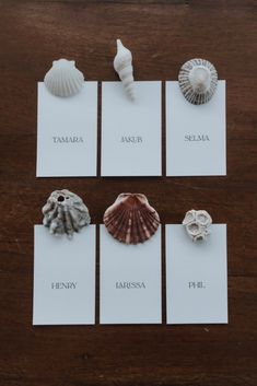 seashells are arranged on white cards with the names of their respective sea creatures