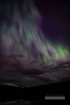 Aurora Borealis - Patricia Lake - Explore Jasper Jasper National Park, Alberta Canada, Kayaking, Aurora, National Park, Northern Lights, National Parks, Lake, Natural Landmarks