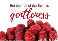 raspberries with the words, but the fruit of the spirit is gentleness