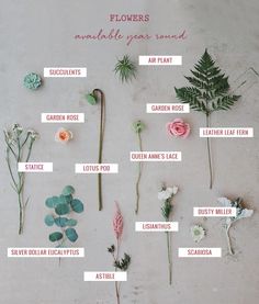 flowers that are labeled in different parts of the body