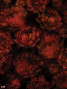 Midnight Red Floral Photography Backdrop - Midnight red floral photography backdrop with deep red flowers against a black background Faded Flowers, Red And Black Background, Artistic Portraits, Midnight Red, Sequin Backdrop, Witchy Wallpaper, Dark Flowers, Flowers Red, Floral Photography