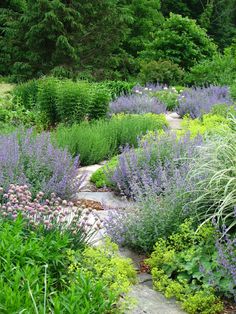 a garden filled with lots of purple flowers and green plants on top of a stone path