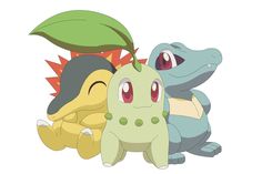 two pokemons are sitting next to each other and one has a leaf on its head