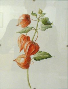 an image of a painting with flowers on it