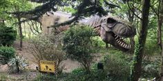 an image of a dinosaur in the woods