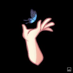 a hand reaching for a blue butterfly that is flying in the air above it on a black background