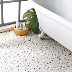 a bath tub sitting next to a window with a plant on the ground in front of it