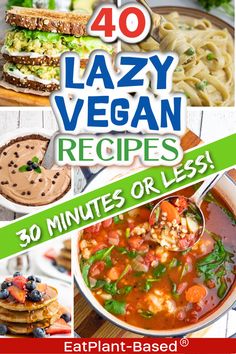 the cover of 40 lazy vegan recipes for 30 minutes or less by eatplant - based