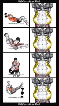 an image of the back and shoulder muscles in different positions, with text below it