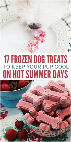 the dog is eating some treats out of a bowl on the table with strawberries