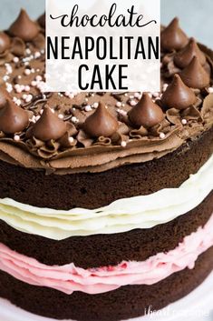 chocolate neapolian cake on a white plate with the words, chocolate neapolian cake