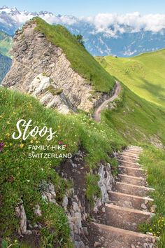 steps leading up to the top of a grassy hill with flowers and mountains in the background