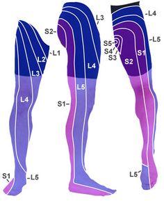 What vertebra causes which leg pains? Lower Leg Pain | OSTEOPATHY | Osteopathy Acupuncture | Paphos | Limassol | Cyprus ... Lower Leg Pain, Limassol Cyprus, Spine Health, Sciatic Nerve, Leg Pain, Paphos, Nerve Pain, Lower Leg, Sciatica