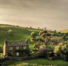 a house in the middle of a lush green field