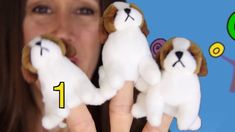 a woman holding three stuffed dogs in front of her face with the number 1 on it