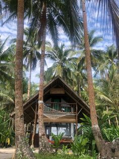 there is a small house in the middle of some trees and palm trees with a hammock hanging from it's roof