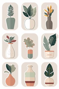 nine potted plants in different shapes and sizes