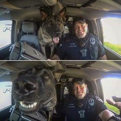 two pictures of a police officer and his dog