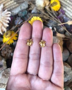 ☮️ Welcome to Summer Of Love Jewels ☮️ Listing is for (1) pair of Cute Turtle Stud Earrings 🐢 Measurements: Length: 10mm Width: 9mm Material: 14kt Gold Vermeil, .925 Sterling Silver Let me know if you have any questions. Sterling Silver Tarnish Resistant Clip-on Earrings For Gift, Yellow Gold Hypoallergenic Earrings For Gift, Hypoallergenic Yellow Gold Earrings Gift, 14k Gold Tarnish Resistant Plug Earrings As Gift, 14k Gold Tarnish-resistant Plug Earrings As Gift, Tarnish Resistant 14k Gold Plug Earrings As Gift, Tarnish Resistant Brass Plug Earrings As Gift, 14k Gold Drop Clip-on Earrings As Gift, Gold Sterling Silver Clip-on Earrings As Gift