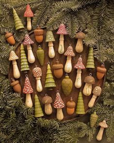 an assortment of mushrooms and pine cones are arranged on a wooden board in the shape of a circle