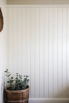 there is a basket with some plants in it next to a wall that has white paneling