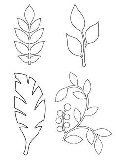 four different types of leaves on a white background