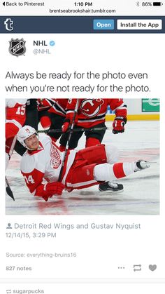 the detroit red wings'goalie is on his knees and has fallen to the ice