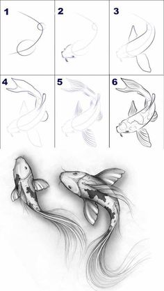 how to draw koi fish for beginners with step by step instructions and pictures