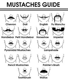 Pencil Mustache, 1960s Hairstyles, Walrus Mustache, Fake Mustache