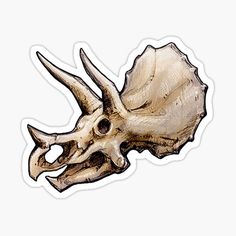 an animal skull sticker on a white background