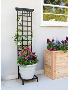 two potted plants are sitting next to each other on the side of a house