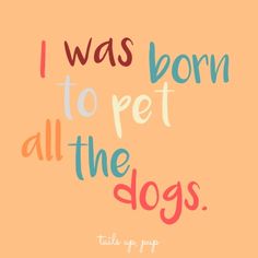 the words i was born to pet all the dogs are written in bright colors on an orange background