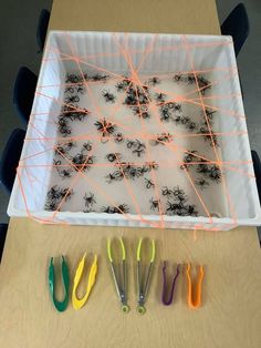 Spider Web Fine Motor Activity Spider Web Sensory Bin, Insect Fine Motor Toddler, Preschool Room Activities, Spider Web Fine Motor Activity, Halloween Theme Games For Kids, Spider Web Activities For Preschool, Bat Sensory Activities, Spider Dramatic Play Preschool, Nocturnal Animals Fine Motor Activities