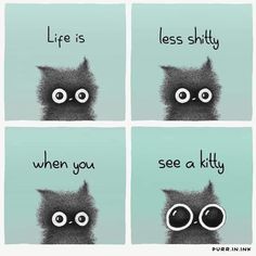 Soft Kitty Warm Kitty, Cat Attack, Cat Jokes, Animated Wallpapers For Mobile, Cat Post, Cute Cartoon Drawings, Cat Crafts, Cat Quotes