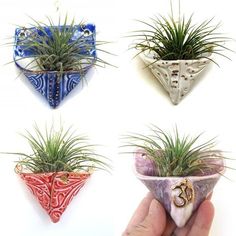 four different shaped air plants hanging on the wall, each with their own unique decoration