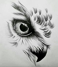 an owl's eye is shown in black and white, with feathers on it