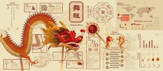 Dragon Lantern, Leaflet Layout, People Dance, History Infographic, Infographic Inspiration, Dragon Dance, Chinese People, Dance Poster, Lion Dance