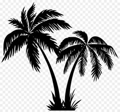 two palm trees silhouetted against a white background