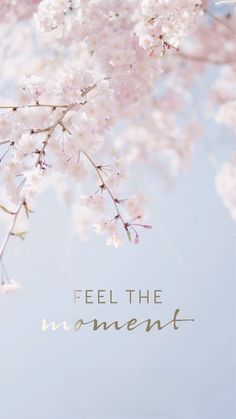 the words feel the moment are written in gold on a blue background with pink flowers