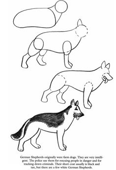 three different types of dogs are shown in black and white