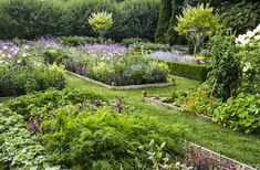 a garden filled with lots of different types of flowers and plants growing in the grass