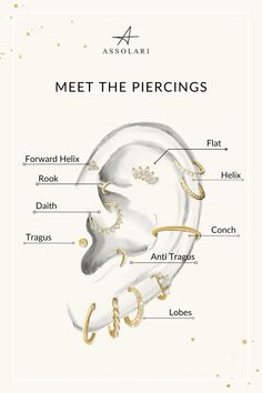 the parts of an ear in gold and white, with text below it that reads meet the piercings