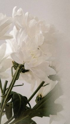 some white flowers are in a glass vase