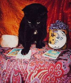 a black cat sitting on top of a bed next to a vase filled with flowers