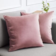 two pink pillows sitting on top of a gray couch next to a potted plant