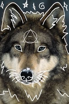 an image of a wolf's face with symbols around it